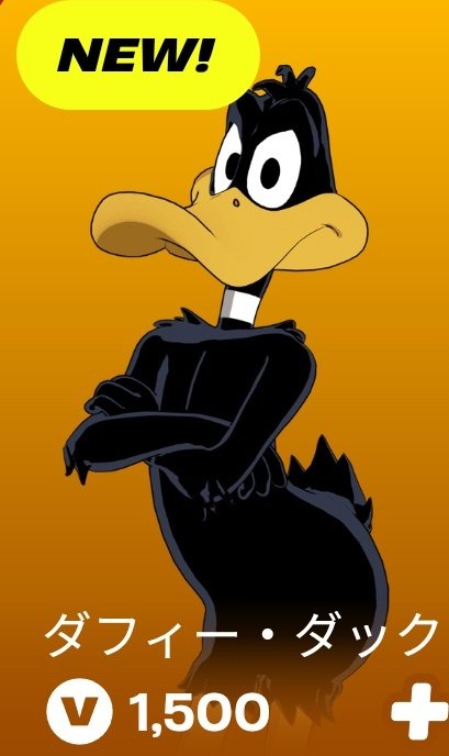 💫豆柴💫 tweet media