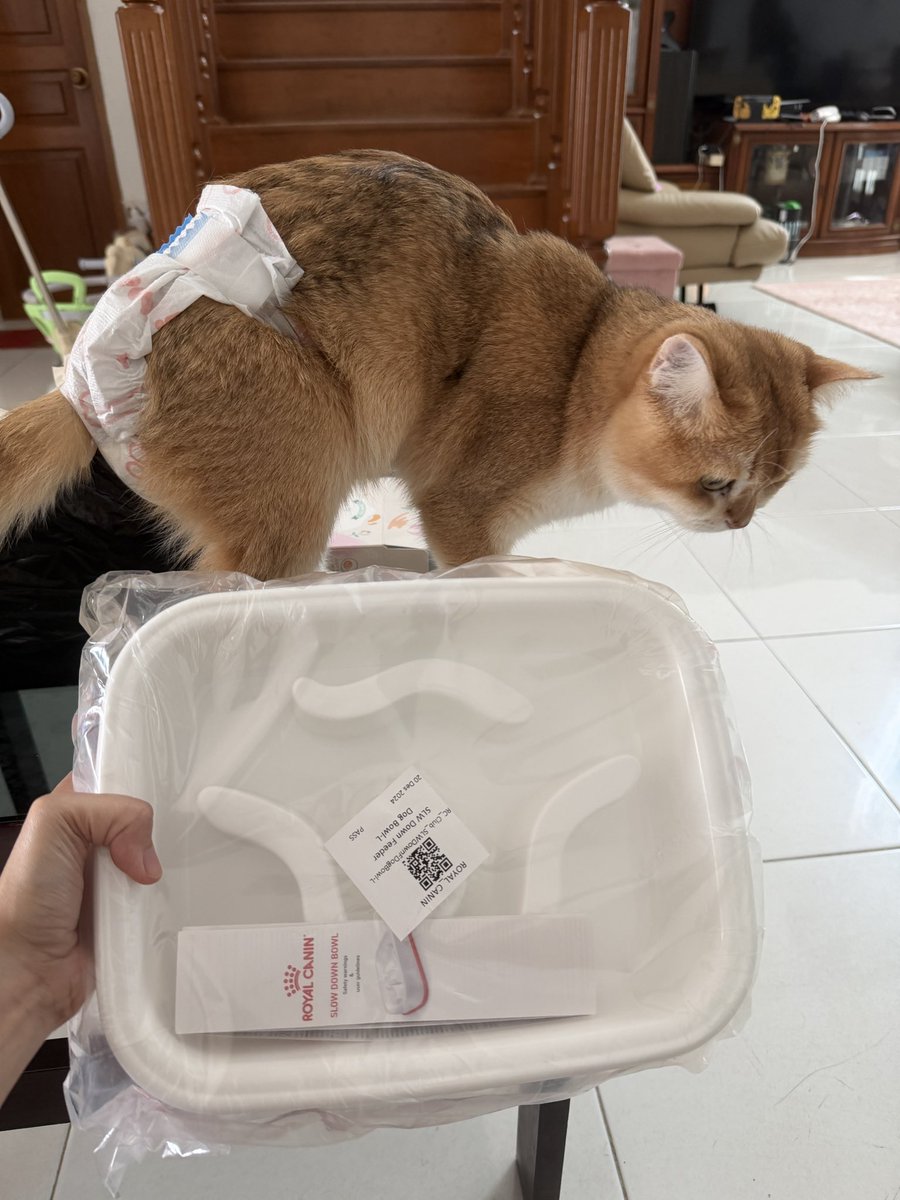 Nastar & Kara tweet media