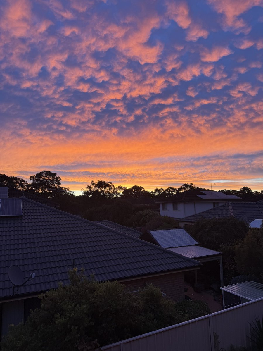 nara 🐉🌷🪽 tweet media