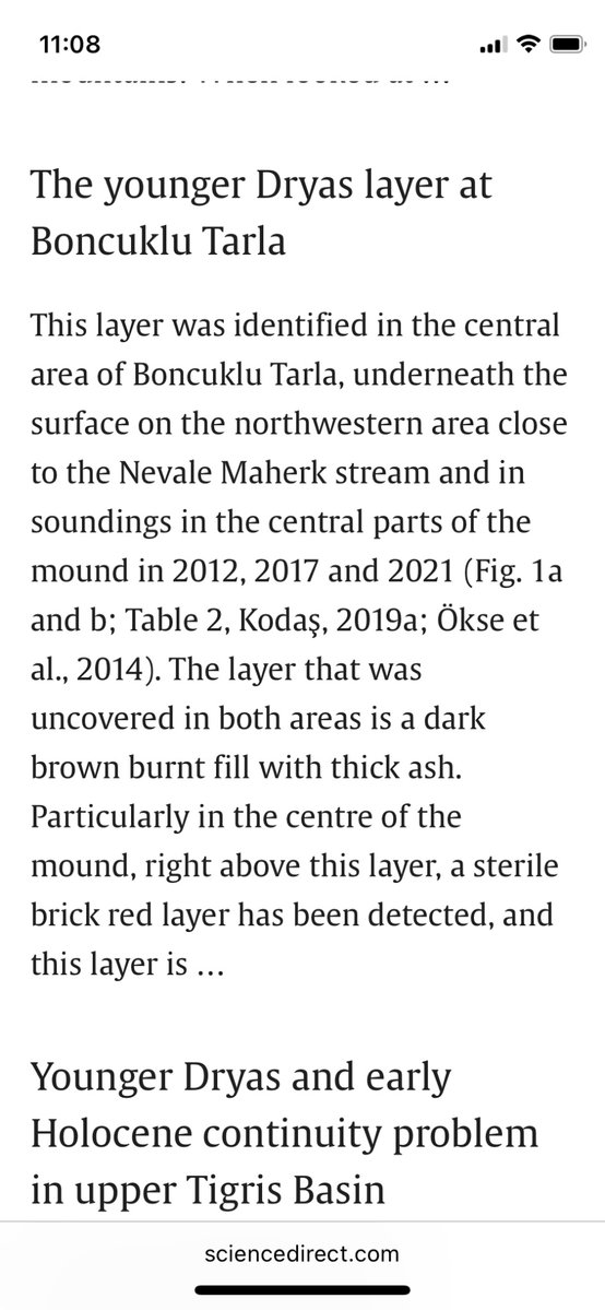Luqman Guldivê tweet media