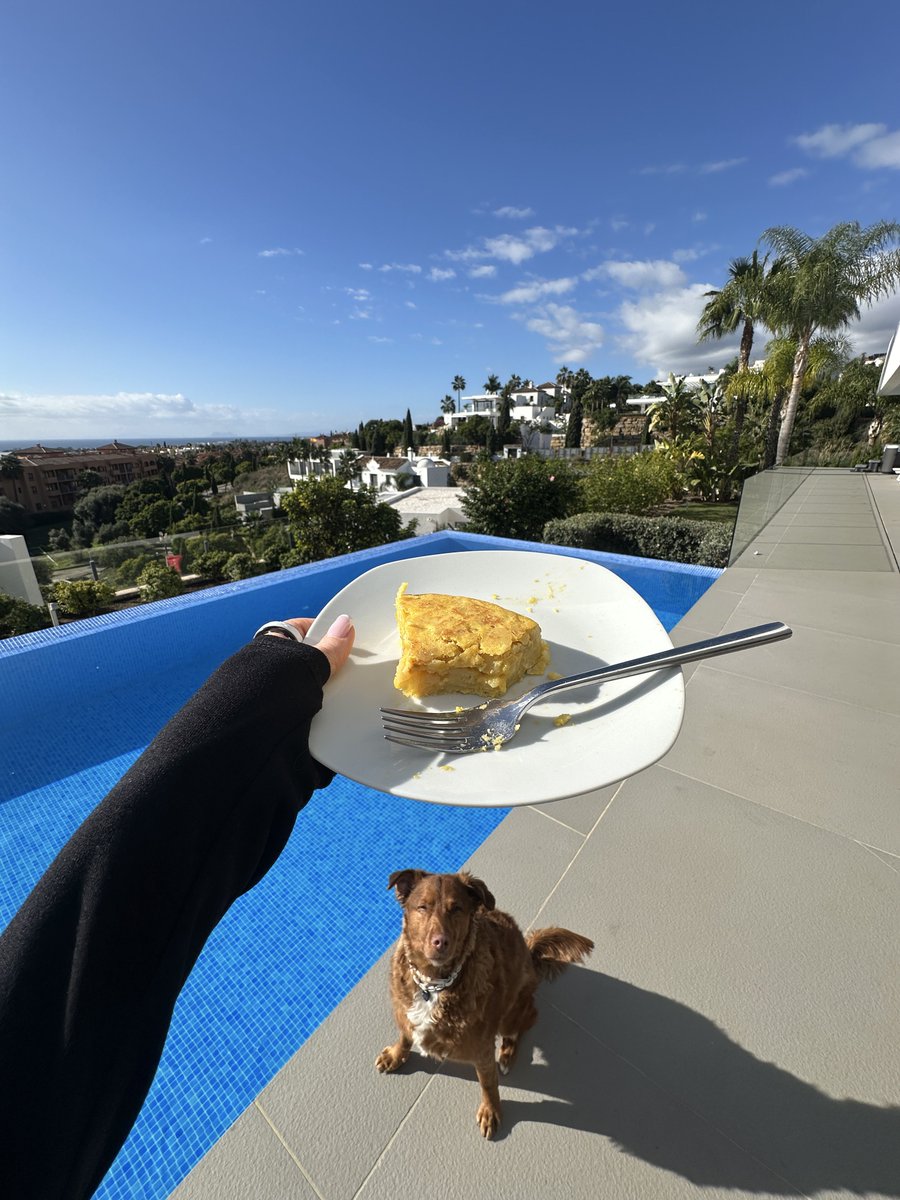 Alyonita 🔜 EthCC tweet media