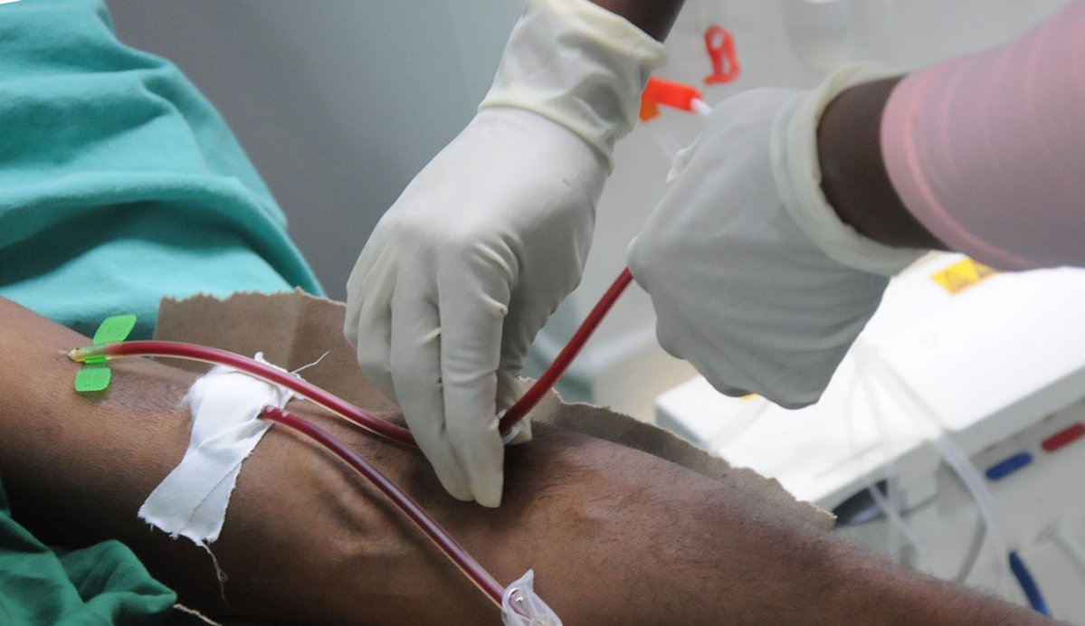 leonel Escalona Furones tweet media