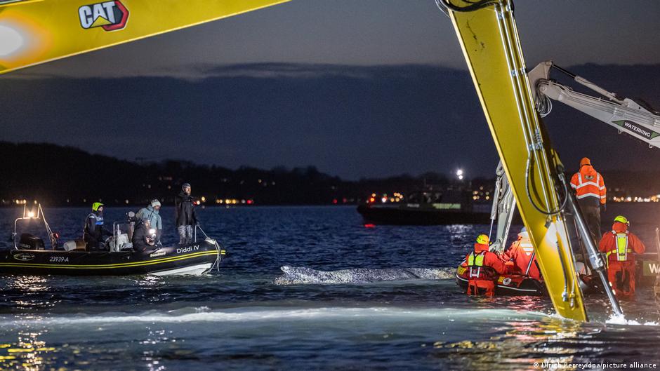 DW на русском tweet media