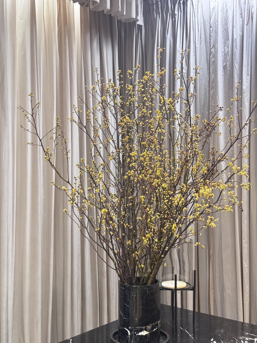 ginnynatnicha tweet media