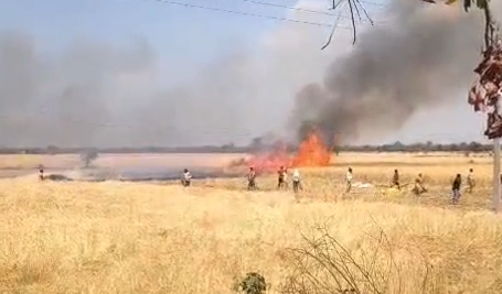 भारत समाचार | Bharat Samachar tweet media