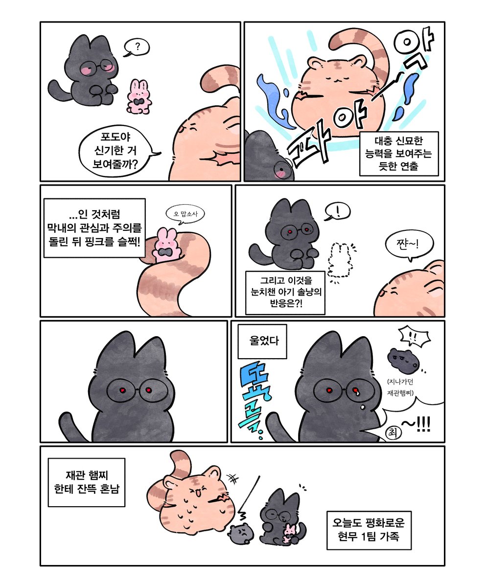 베리몽 tweet media