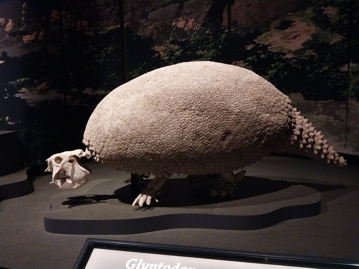 David @ Myrtle Beach tweet media