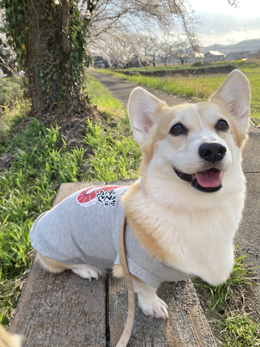 ばななな tweet media