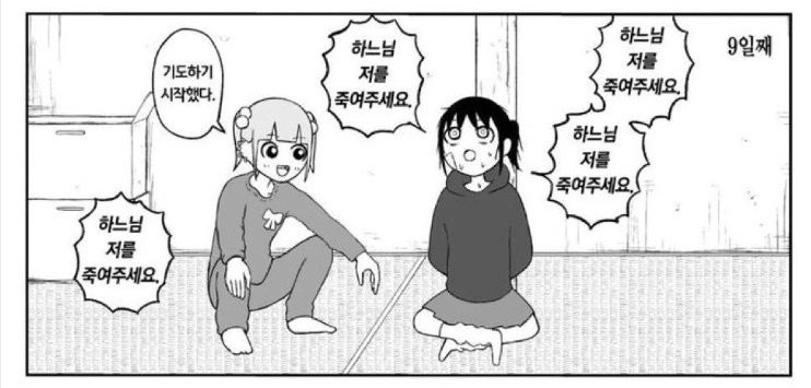 김망고 tweet media