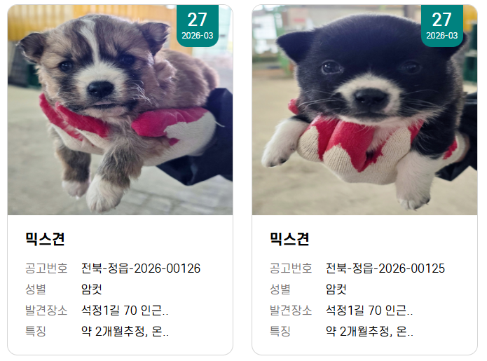 강보ㄹ| (메인트 RT 부탁합니다) tweet media