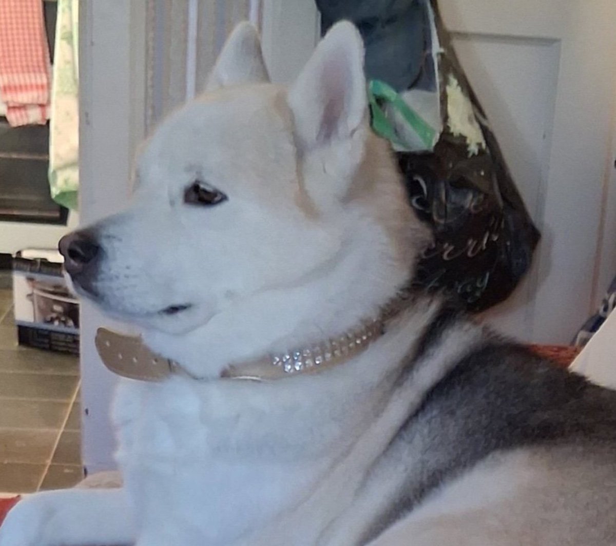 chris towers tweet media