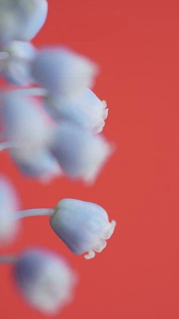 Marc Nard tweet media