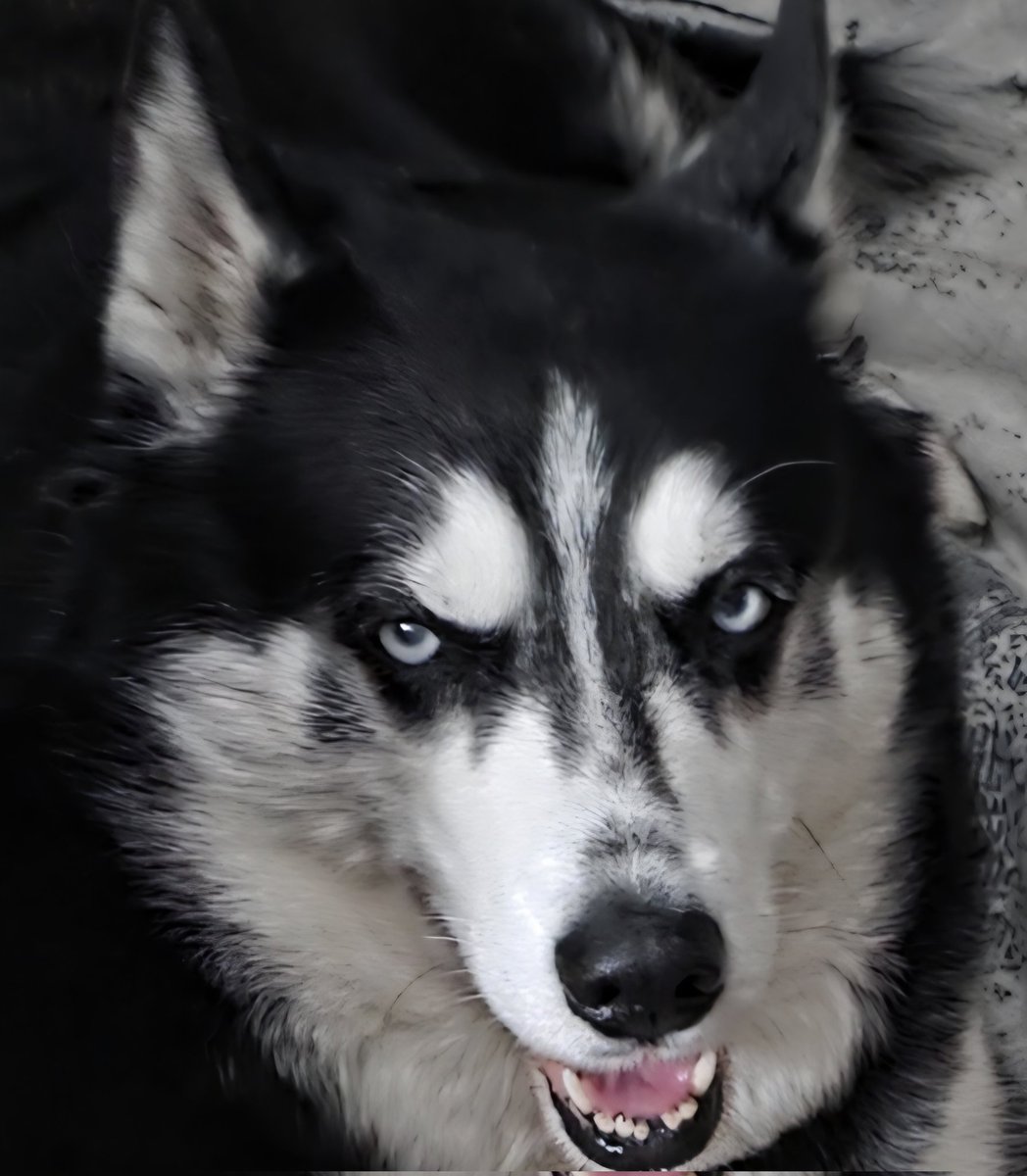 luna🌶💃,Here for Adam Lambert 💚💚💚 tweet media