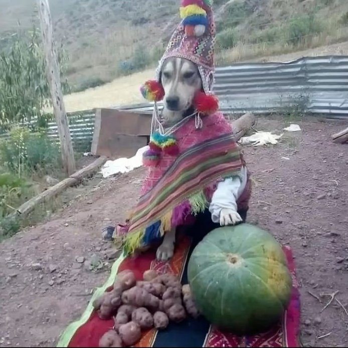 ᥲᥒto ۶🇵🇪ৎ IRA A VER A BTS ⊙⊝⊜ ⁷ tweet media