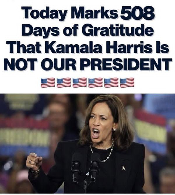 Teodhora tweet media