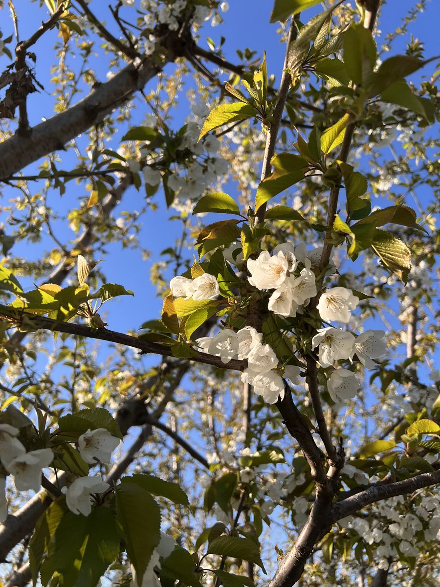 mental health walk✅