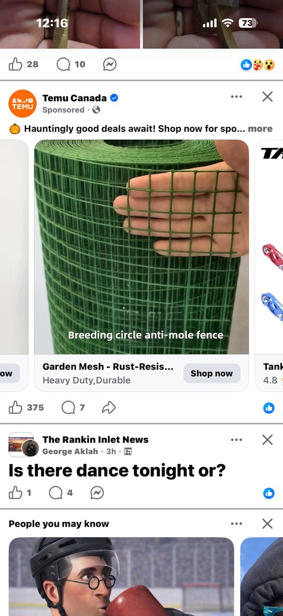 Bigcookie tweet media