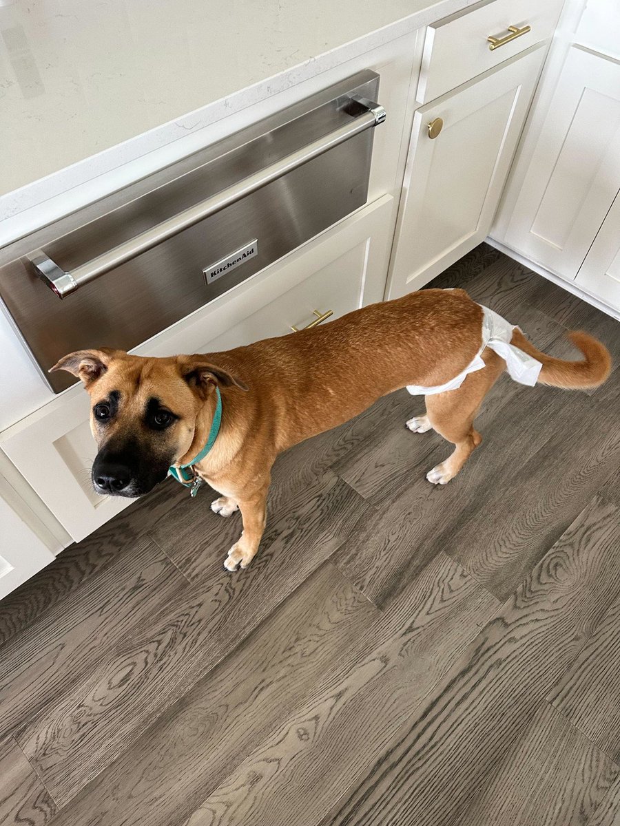 Jon Willbanks tweet media