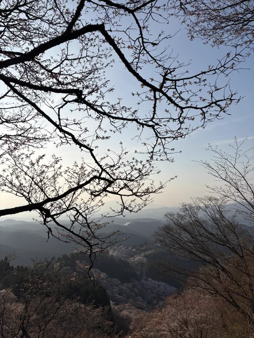 登山ってすげえ綺麗ですげえ楽しいけど電波ないので現代人にはなかなかハードな状況でした 吉野の千本桜見れて本当に幸せでした また絶景見に行きたいなぁ