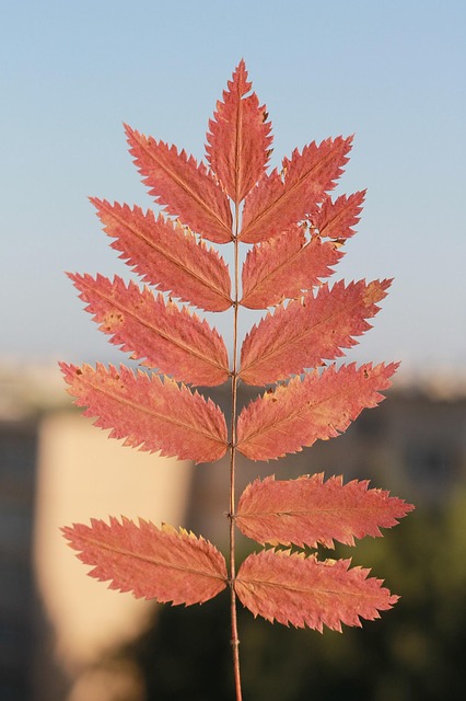 Bob Ramsey tweet media