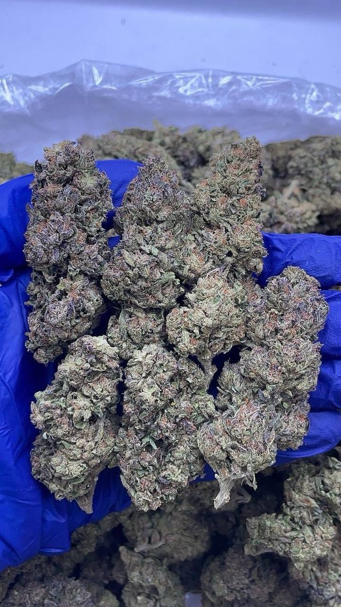 Londonbudds's tweet image. Weed Battersea Park, Weed Clapham Common, Weed Tooting Bec Common, Weed Brockwell Park, Weed Dulwich Park, Weed Horniman Museum and Gardens