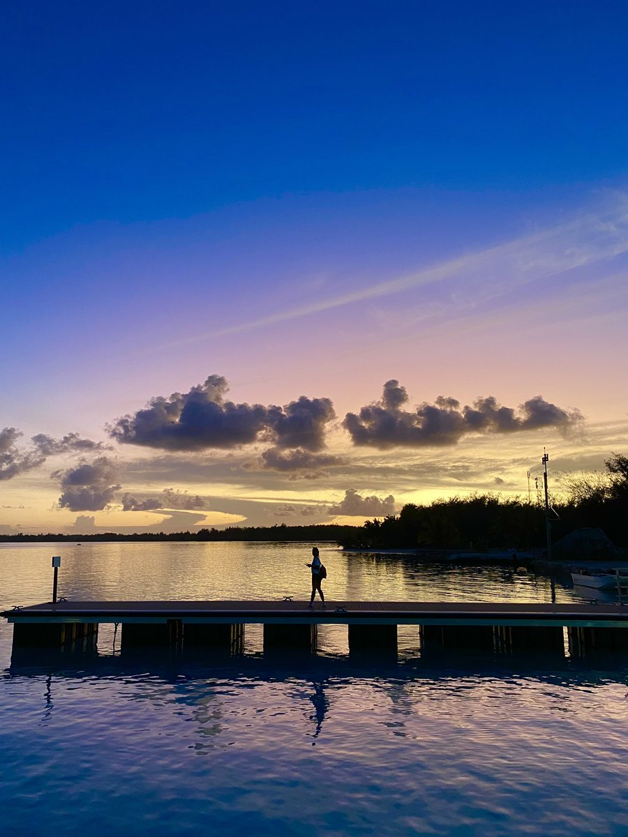 Trax51.hl 🫕🧀🏝 tweet media