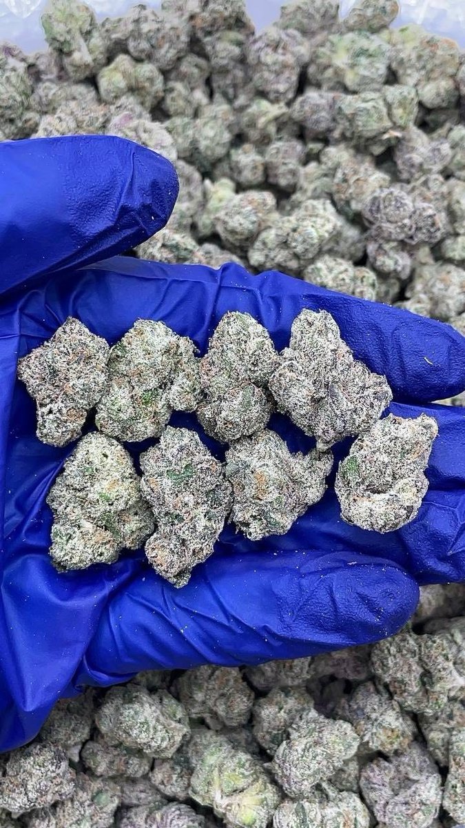 Londonbudds's tweet image. Weed Crystal Palace Park, Weed Sydenham Hill Wood, Weed Greenwich Park, Weed Blackheath, Weed Woolwich Arsenal, Weed Cutty Sark, Weed Deptford, Weed Rotherhithe