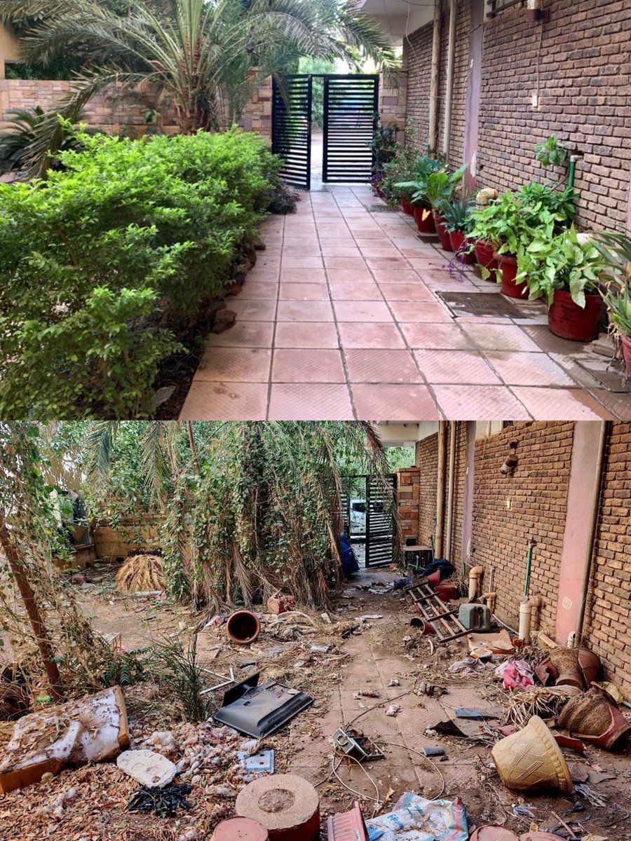 Olive 🌿 tweet media