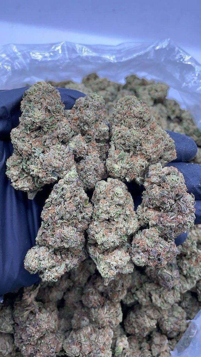 Londonbudds's tweet image. Weed Bermondsey Street, Weed Southbank Centre, Weed Waterloo, Weed Lambeth Palace, Weed Vauxhall, Weed Nine Elms, Weed Pimlico, Weed Victoria, Weed Belgravia, Weed Mayfair