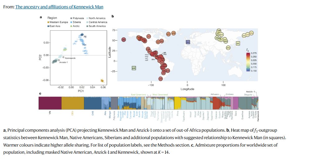 𝕾𝖔𝖓 𝖔𝖋 𝕮𝖆𝖎𝖓 tweet media