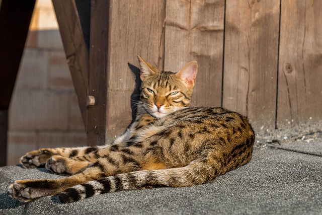 Nate Coffman tweet media