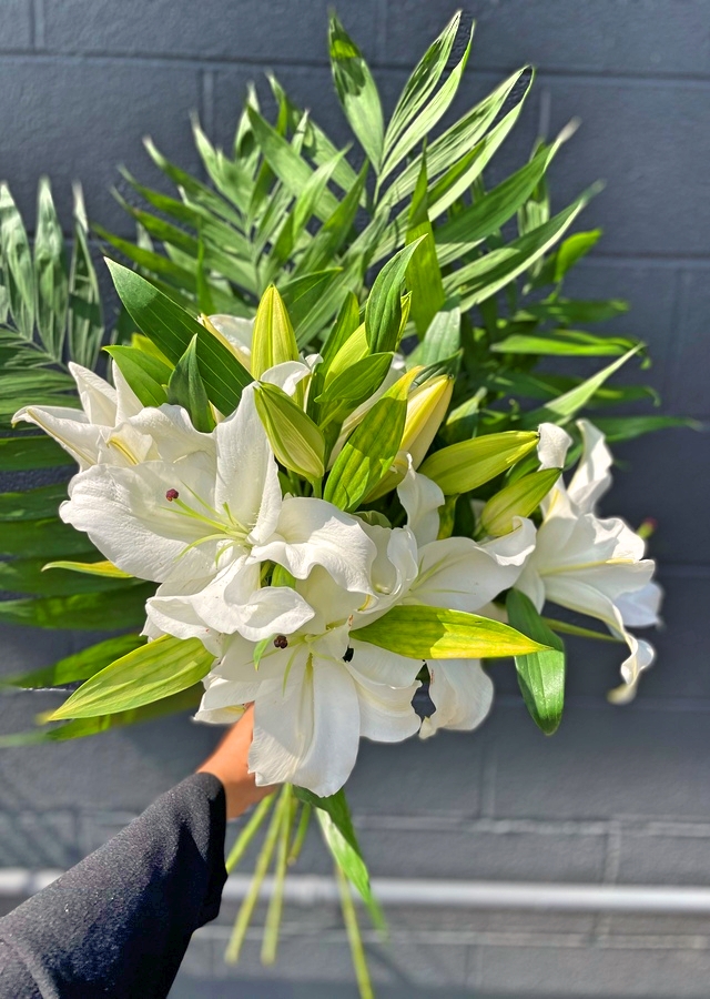 The Spirit of Lorenzo the Cat tweet media