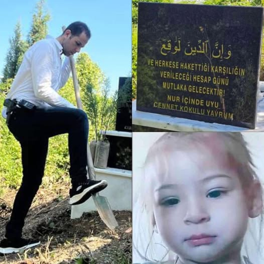 DENİZ_TOPRAK2 tweet media
