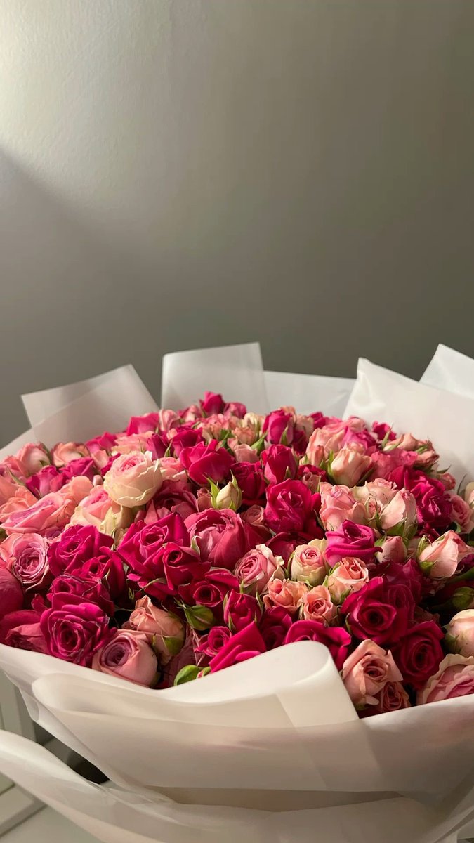 ⋆.𐙚 ̊ tweet media