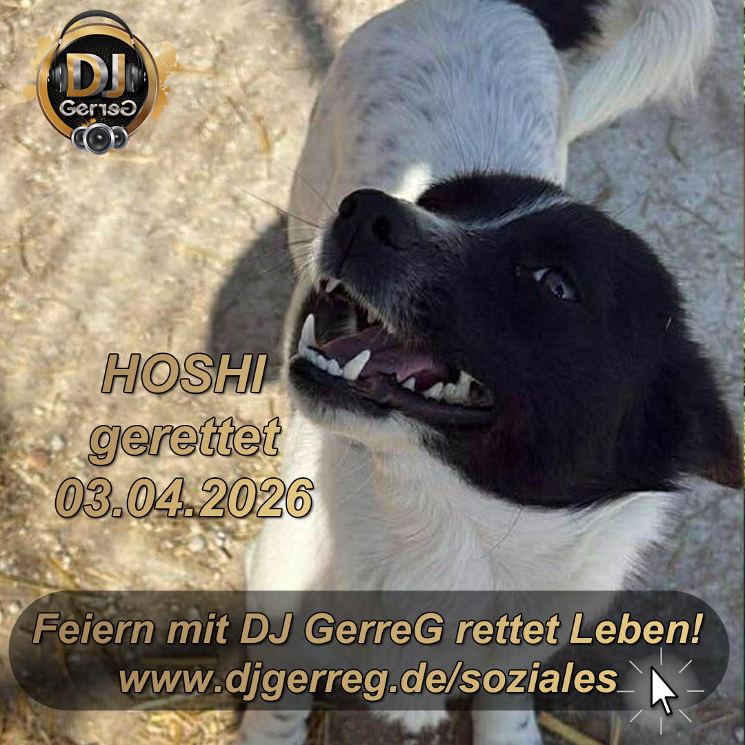 HOSHI aus Tötungsstation gerettet – DJ GerreG sorgt für Osterwunder und setzt starkes Zeichen mittelrhein-tageblatt.de/hoshi-aus-toet… via <a href="/hkorsten/">Holger Korsten</a>