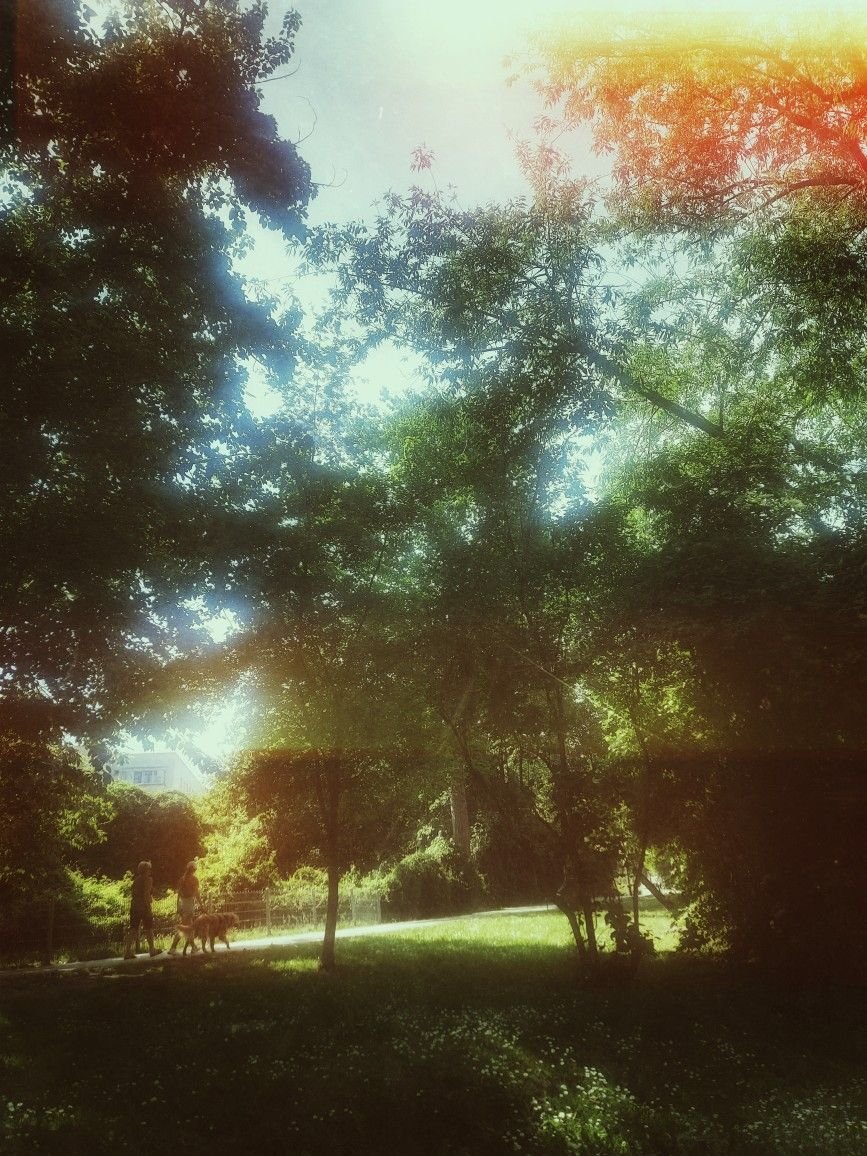 ᯓ yumi's PR manager tweet media