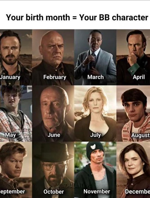 Breaking Bad Daily tweet media