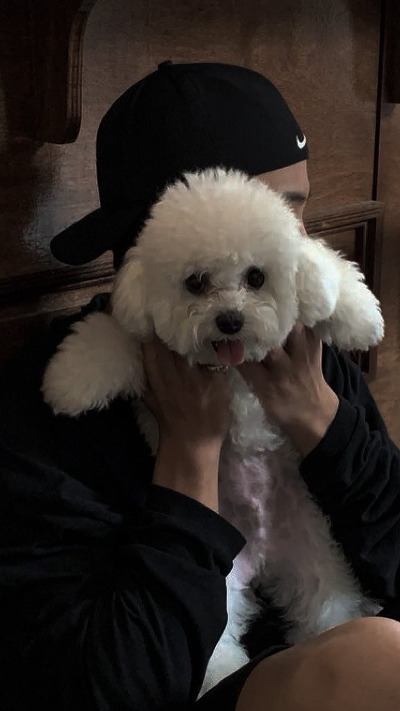 𝐀𝐌𝐎𝐑𝐀 tweet media