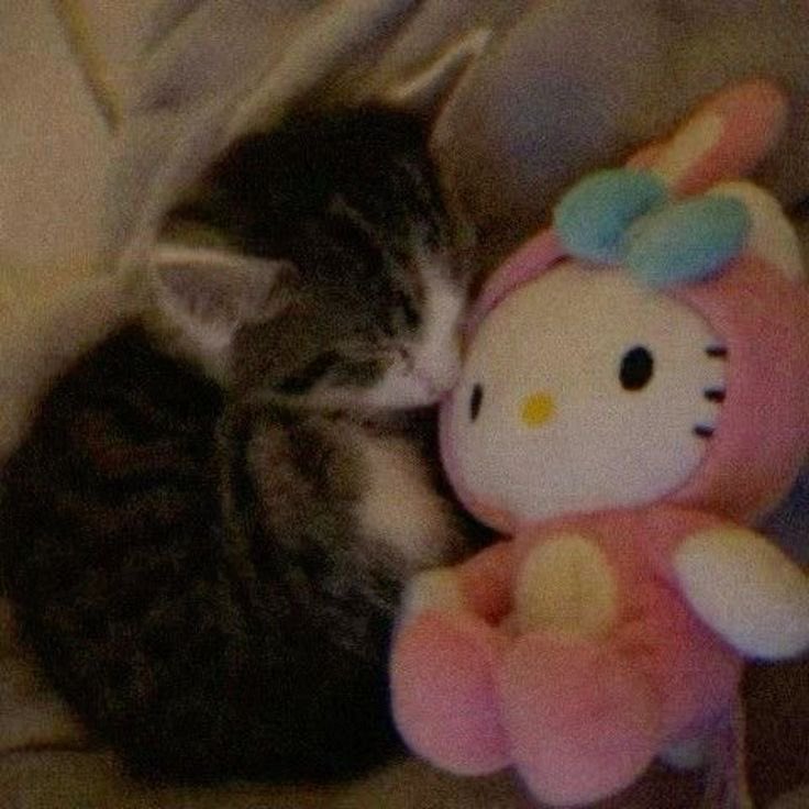 Gloria 🏹 tweet media