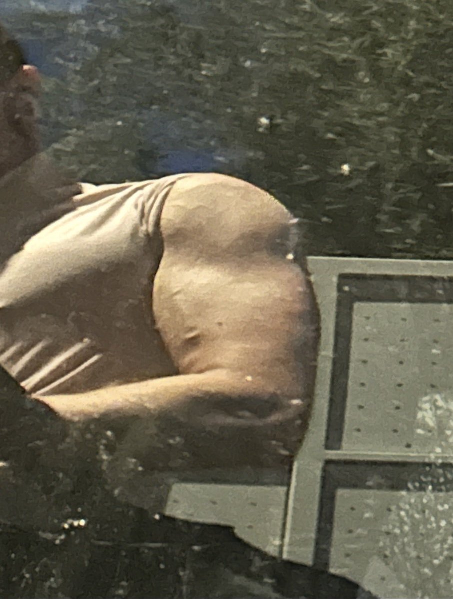 Jojow 🐳 tweet media