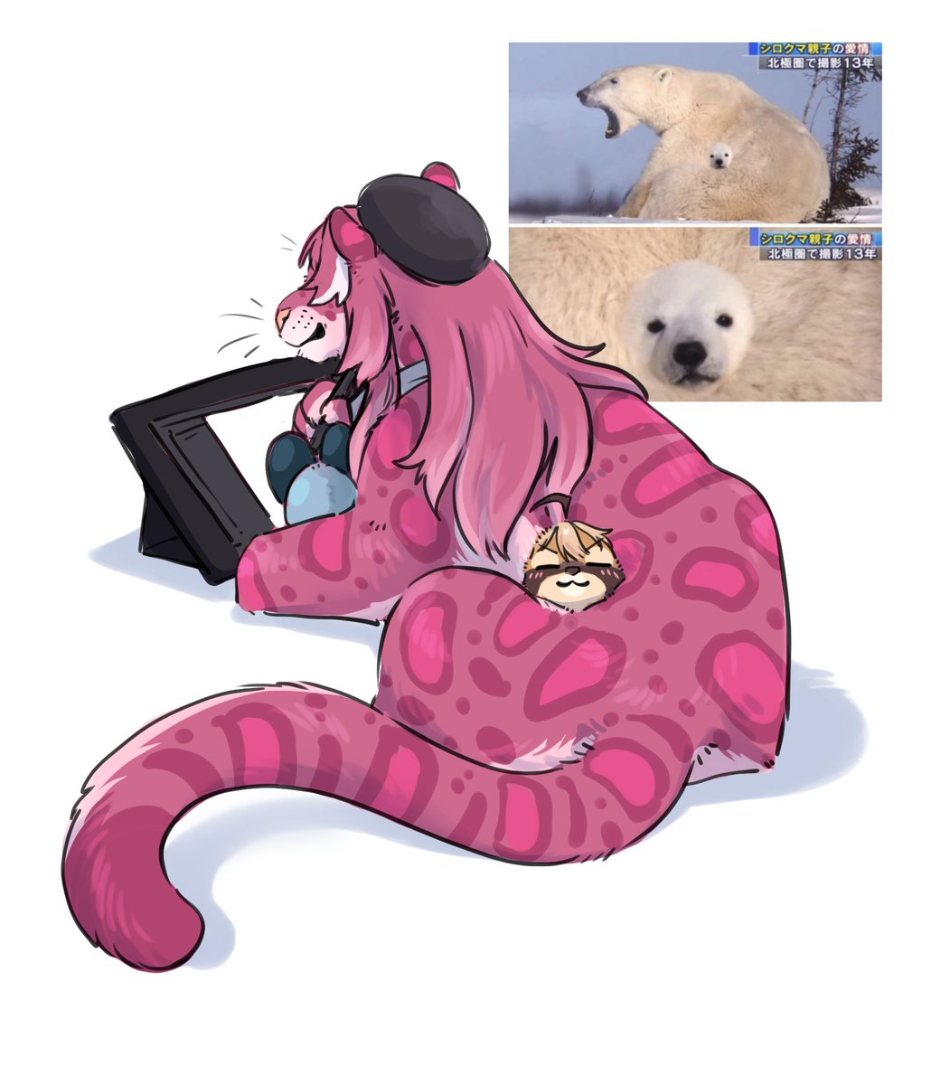 野君🦡 tweet media