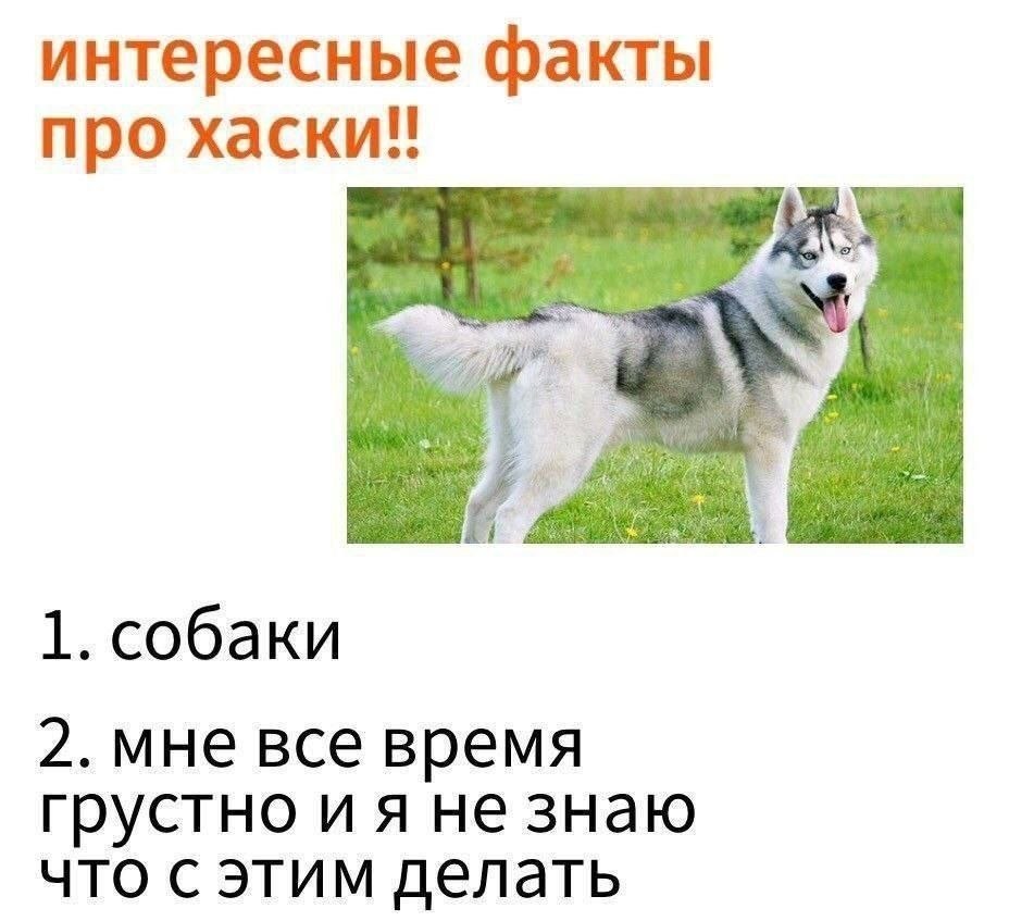 𝕾𝖙𝖆𝖓𝖑𝖊𝖞 tweet media