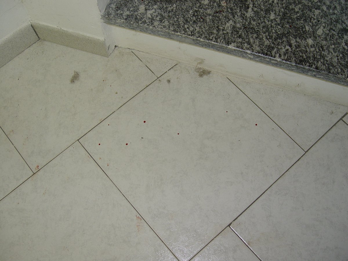 Luigi Grimaldi 🏊 tweet media