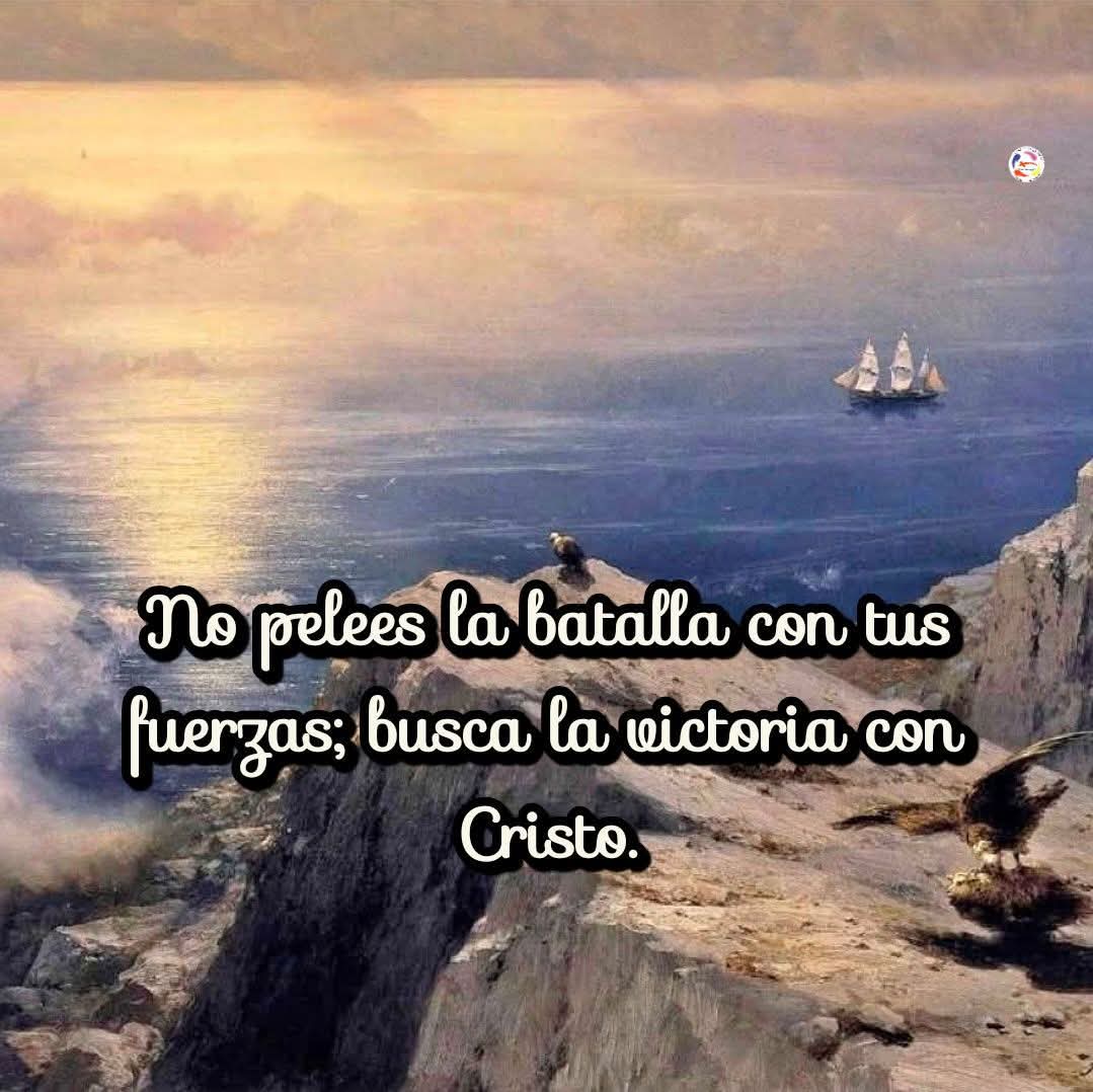 Canal Cristiano FC tweet media