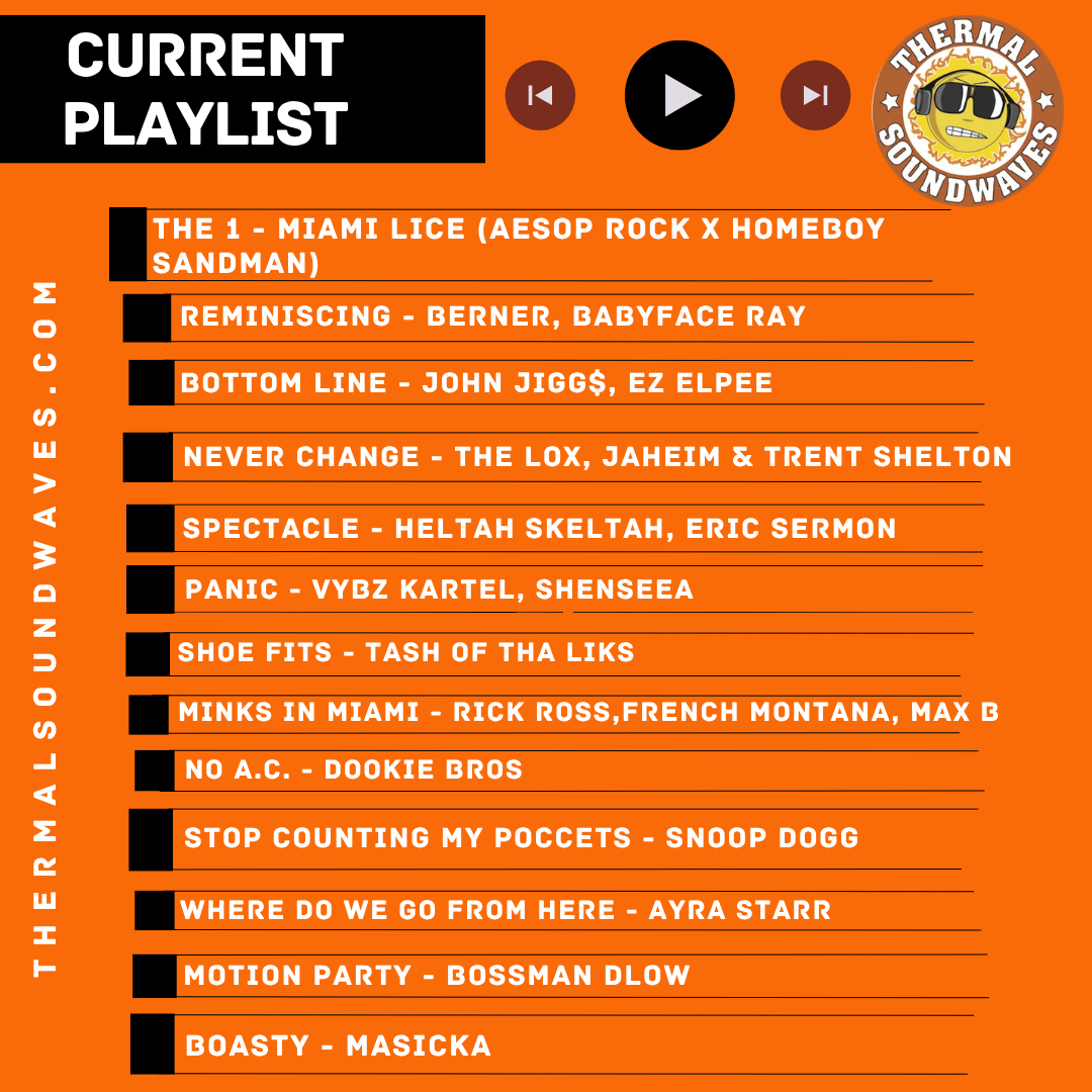 Thermal Soundwaves™ tweet media