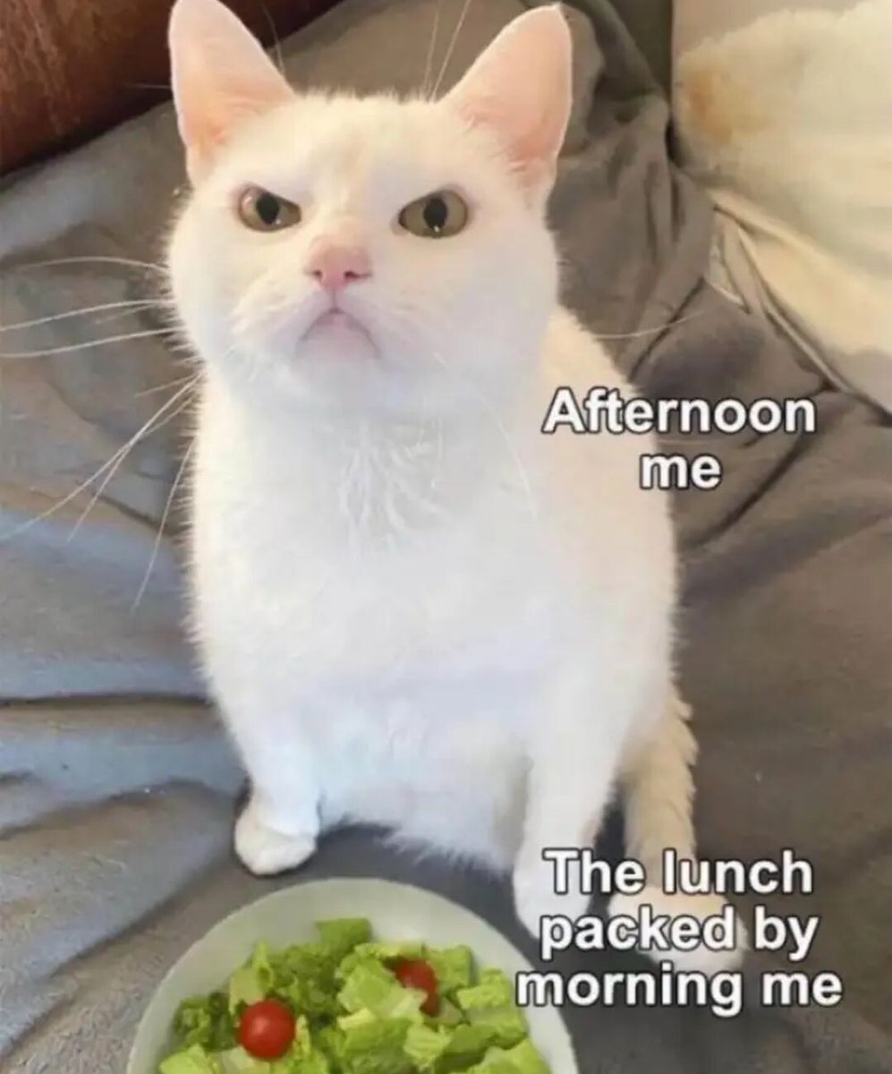 WholesomeMemes tweet media