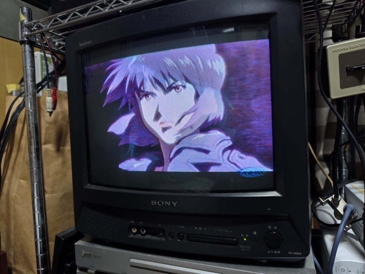 モーリー tweet media