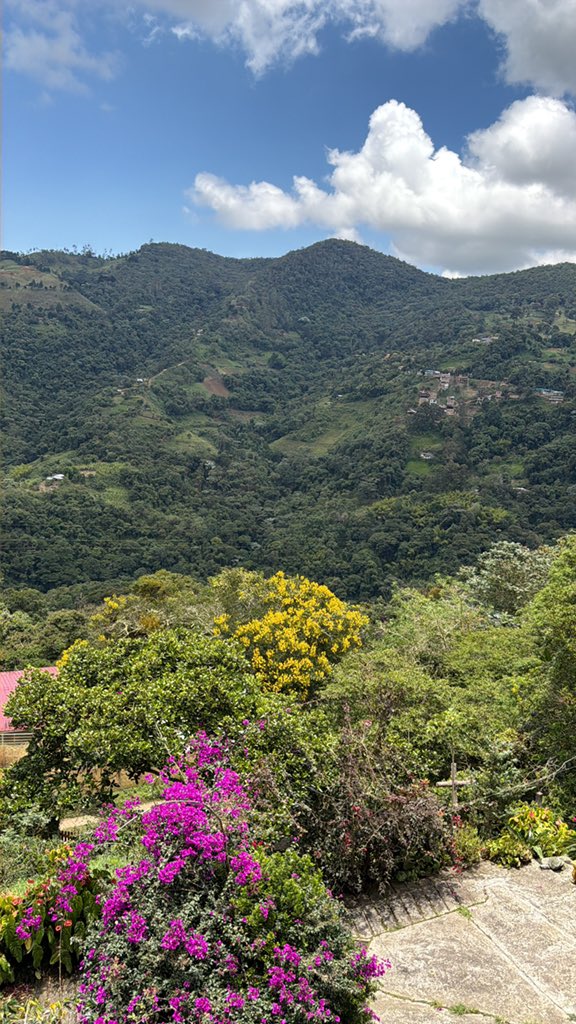 JoGM (@johagamb) on Twitter photo 