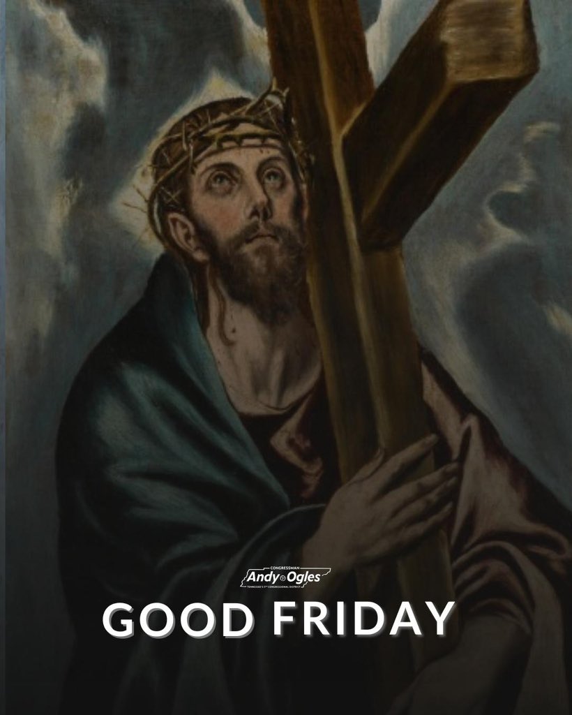 Rep. Andy Ogles tweet media