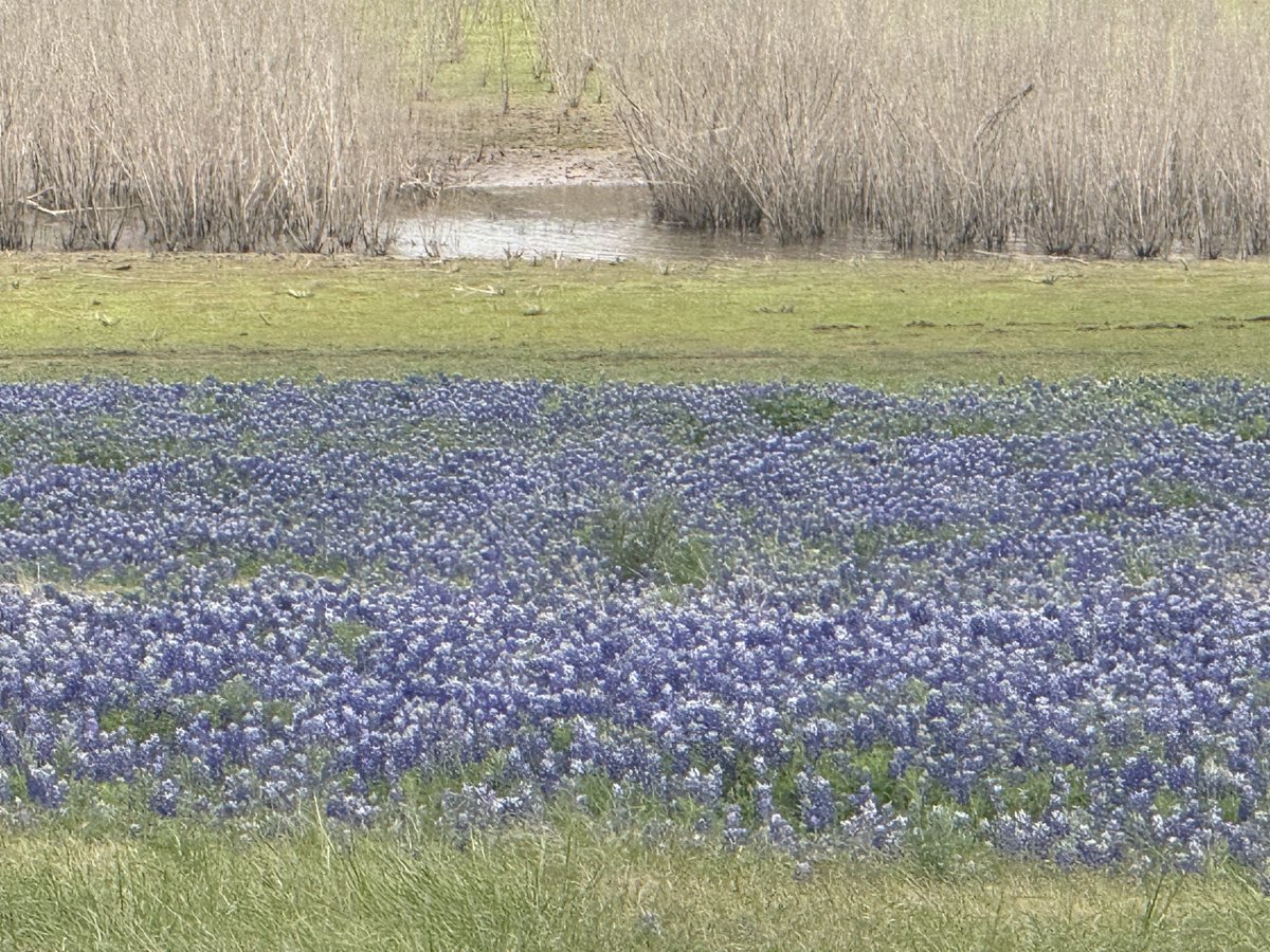 Boob Obsession tweet media